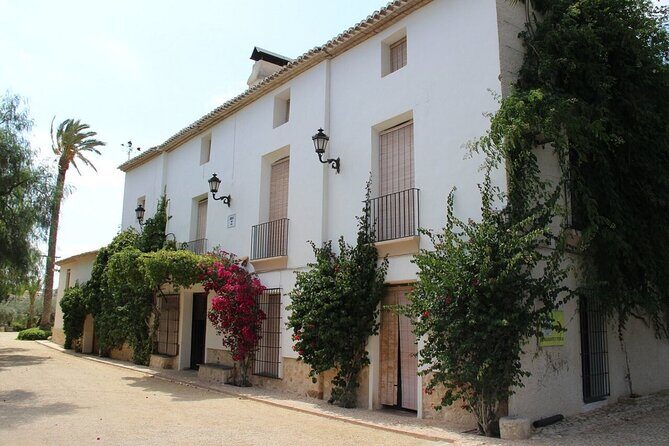 Alicante Old Winery Tour and Wine Tasting Including Transfer - An Overview of the Alicante Old Winery & What You Can Expect