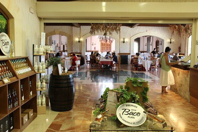 Alicante Old Winery Tour and Wine Tasting Including Transfer - The Itinerary Breakdown: What’s Included & What to Expect