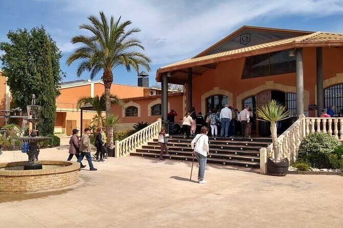 Alicante Old Winery Tour and Wine Tasting Including Transfer - Who Should Consider This Tour?