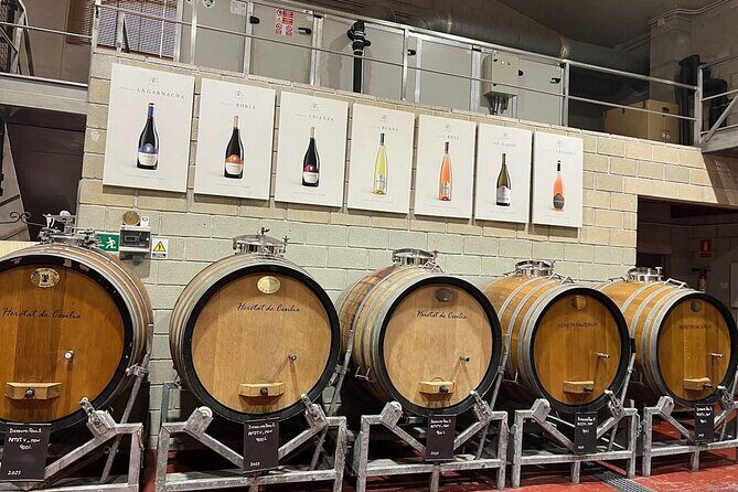 Alicante Old Winery Tour and Wine Tasting Including Transfer - FAQ