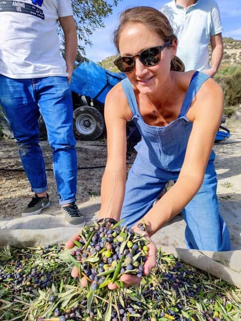 Alicante: Olive Oil Tour with Tasting and Picnic - Key Points