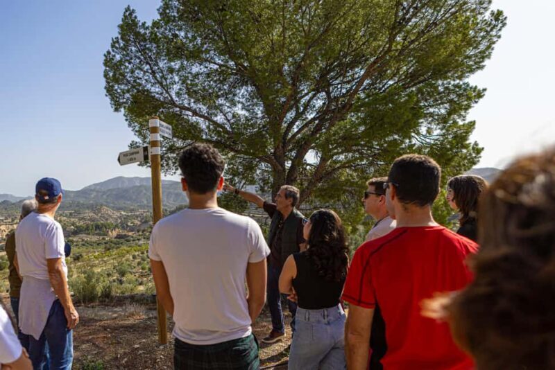 Alicante: Olive Oil Tour with Tasting and Picnic - Discovering the Heart of Olive Oil Making in Alicante