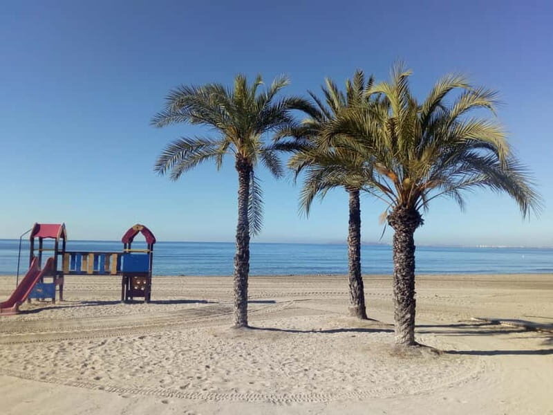 Alicante: Private Bicycle Tour of the Beach and History - Practical Details & What to Expect