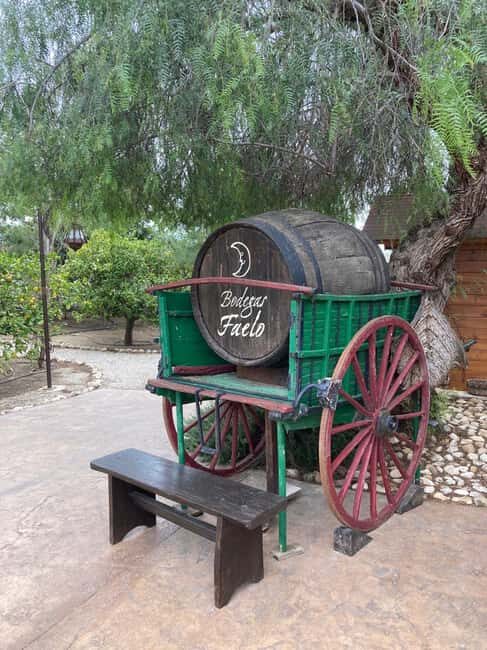 Alicante/Santa Pola -Best winery tour with tasting - An Overview of the Experience