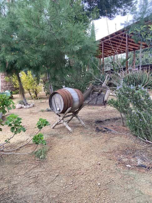 Alicante/Santa Pola -Best winery tour with tasting - FAQ