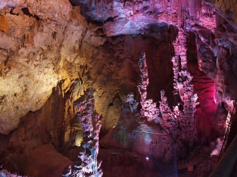 Alicante, Santa Pola, Campello: Jurassic Cave. A guided tour into the past. - A Closer Look at the Tour Experience