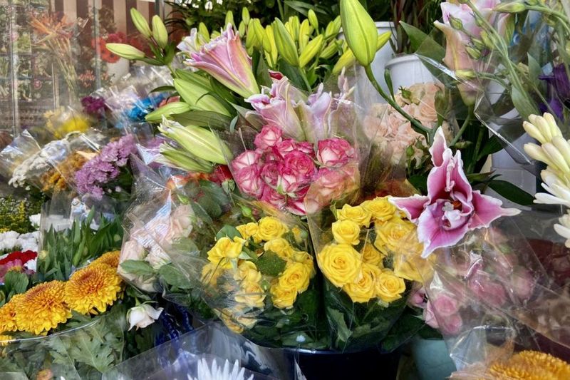 Alicante: Secret Flavors Food Tour - Wine and drinks: great pairing, plus non-alcohol options