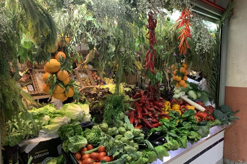 Alicante: Secret Flavors Food Tour - Alcohol timing and pace: you’ll be on your feet