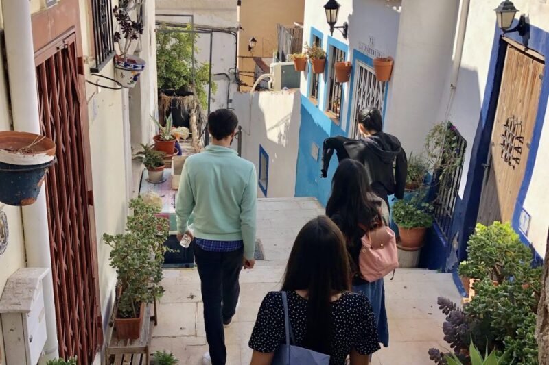 Alicante: Seven Secrets of Alicante Discovery Tour - Key Points