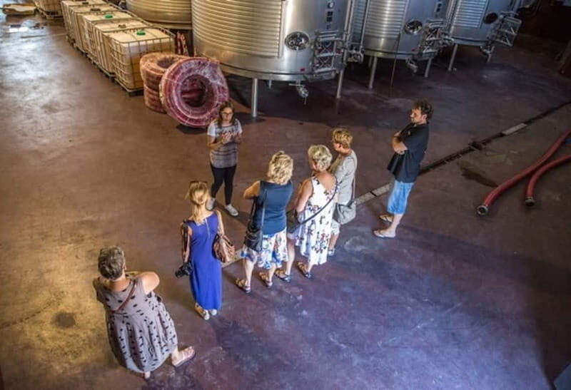 Alicante: Small-Group Countryside Wine Tour with 4 Tastings - Key Points