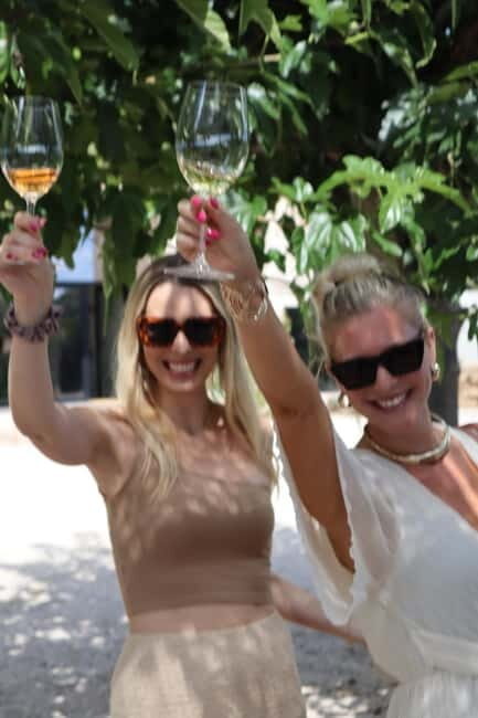 Alicante: Sustainable Wine & Tapas Experience at 3 Wineries - Final Thoughts