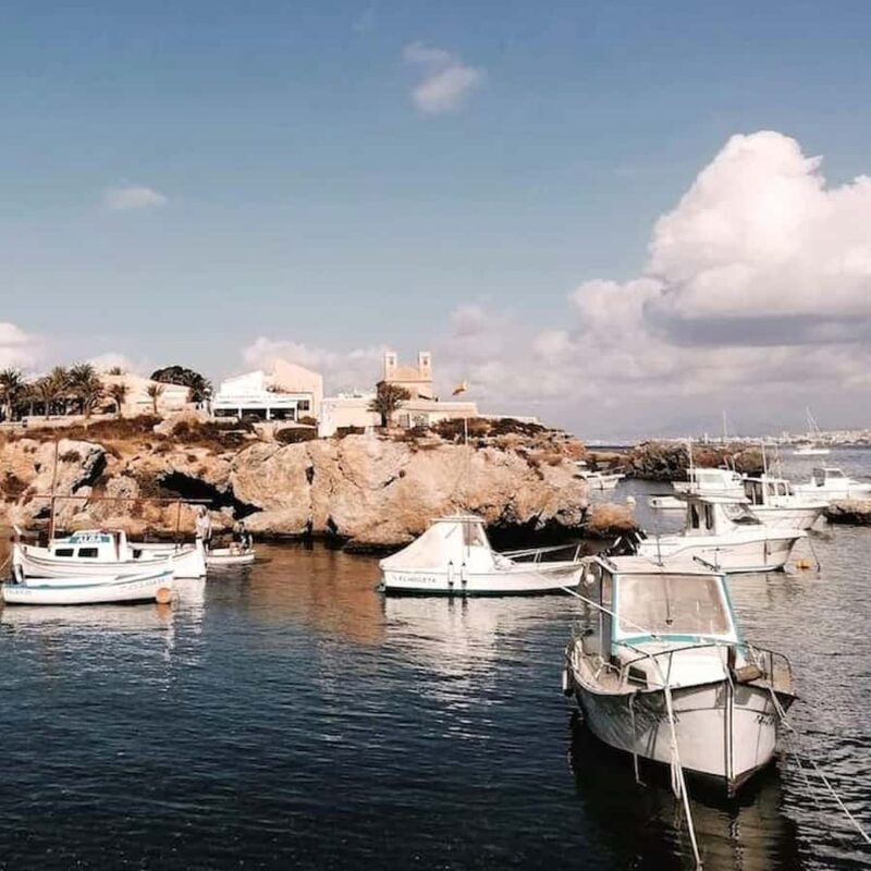 Alicante/Torrevieja: Excursion to Tabarca by ferry, Santa Pola, and Laguna Rosa - Authentic Experiences and Tips from Reviewers