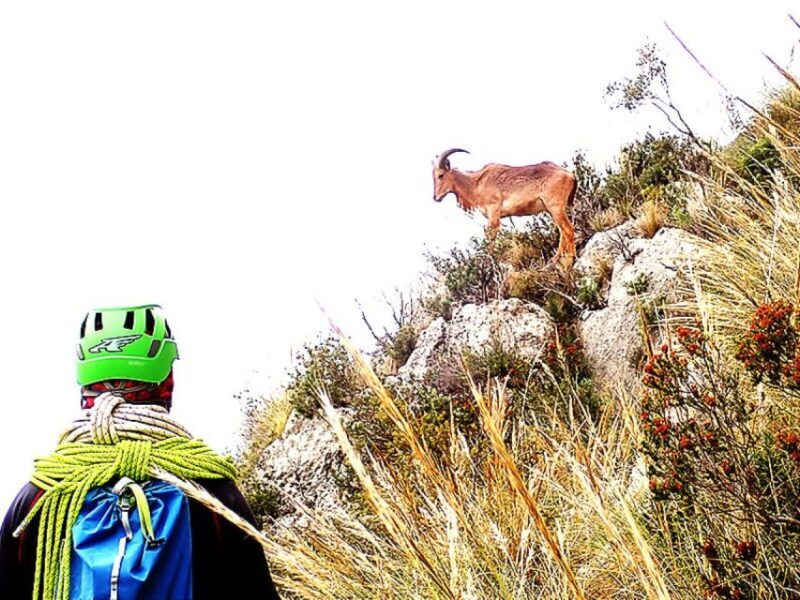 Alicante: Via Ferrata del Ponoig Guided Trek and Climb - Final Thoughts