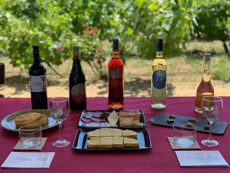 Alicante: Wine Tour and Lunch with Bodega Visit and Novelda - Who Should Consider This Tour?