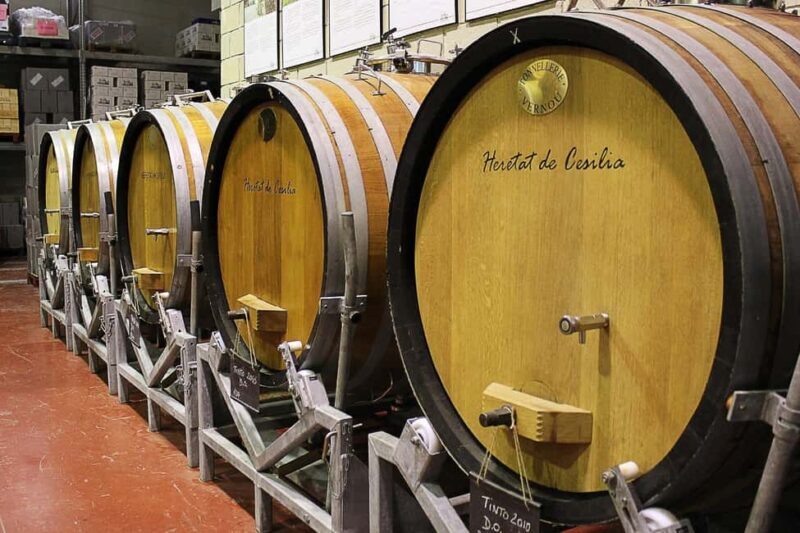 Alicante: Winery tour with a local guide. A tasting of 3 wines is included. - What to Expect from the Tour