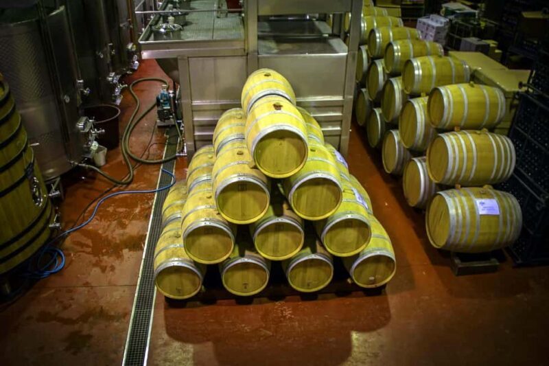 Alicante: Winery tour with a local guide. A tasting of 3 wines is included. - Who Would Love This Tour?