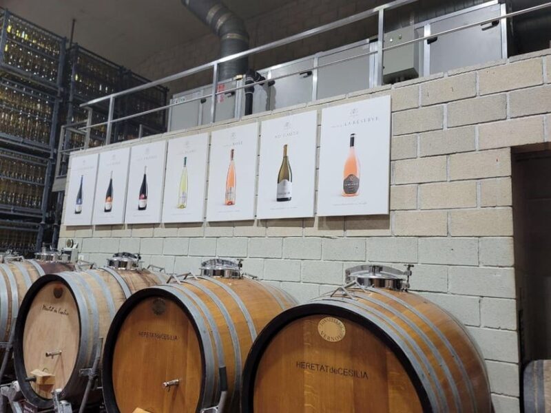 Alicante:Beatiful Castle of Mola+tasting of local wine - Who Will Love This Tour?