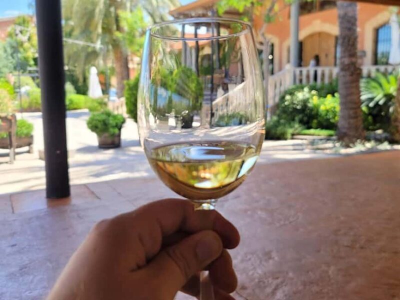 Alicante:Winery Tour+ Wine Tasting + Old castle - In The Sum Up
