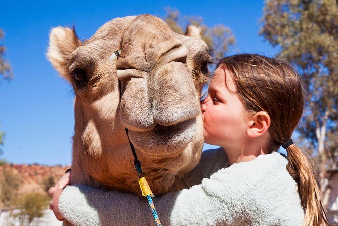 Alice Springs Camel Tour - The Experience in Detail