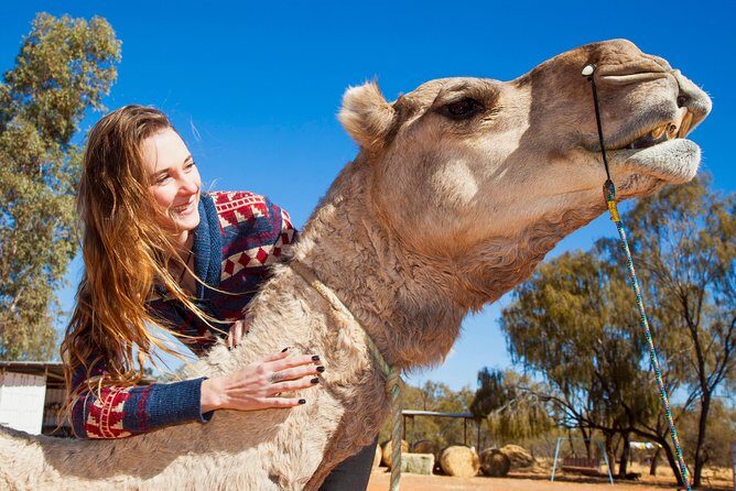 Alice Springs Camel Tour - Final Thoughts