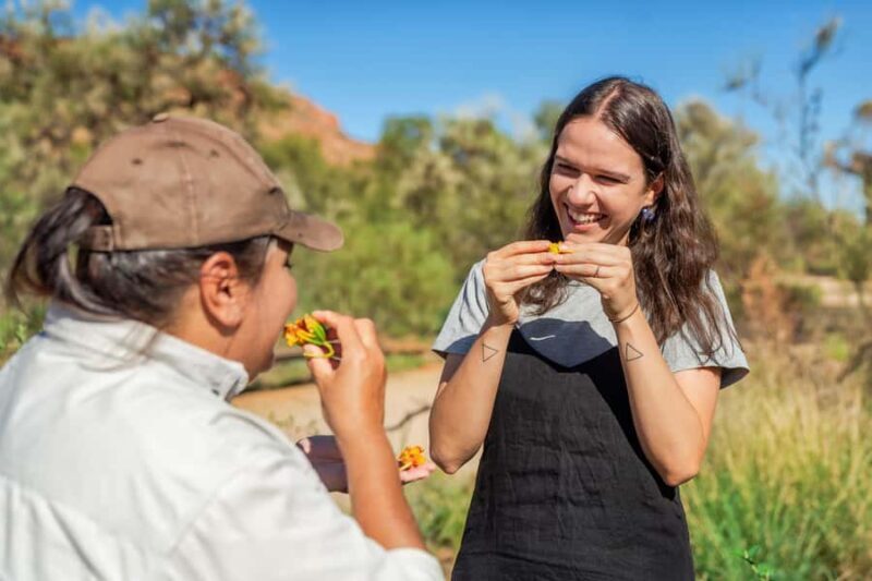 Alice Springs: Desert Park Entry Ticket - Key Points