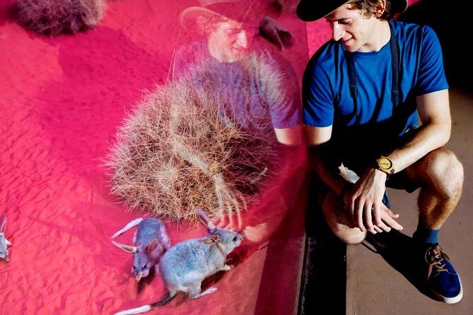 Alice Springs Desert Park General Entry Ticket - What You Can Expect at Alice Springs Desert Park