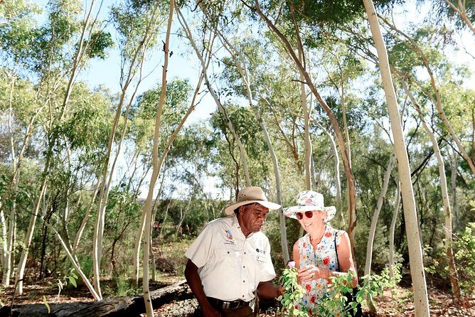 Alice Springs Desert Park General Entry Ticket - Value for Money and Practical Tips