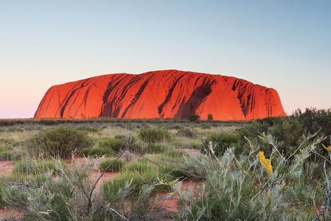 Alice Springs to Ayers Rock (Uluru) One Way Shuttle - Authentic Voices: What Travelers Say