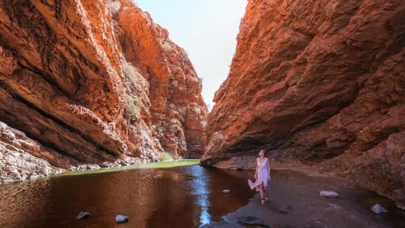 Alice Springs: Town Highlights and West MacDonnell Ranges - Exploring Alice Springs and the West MacDonnell Ranges: An Honest Look