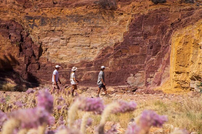 Alice Springs: West MacDonnell Ranges & Standley Chasm Tour - FAQ
