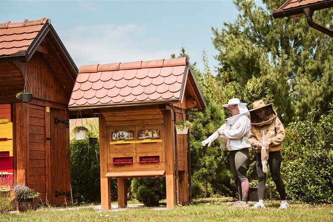 All About Bees Tour from Ljubljana - The Value of the Experience