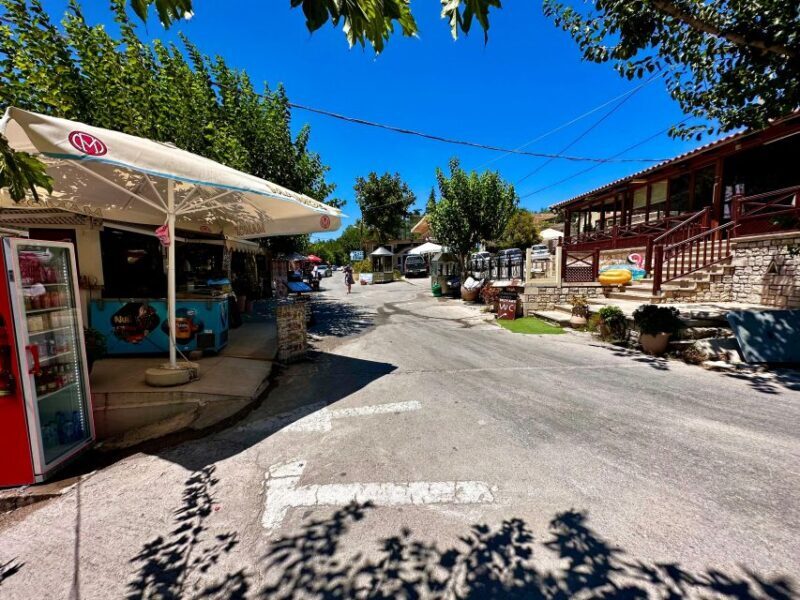 All Day Family Tour to Rethymno & Kournas Lake | JMP Tours - Who Is This Tour Best For?