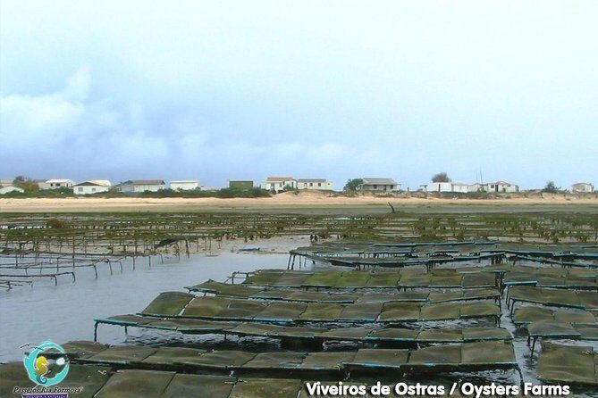 All Day Route in Fuseta - The Sum Up: Who Should Consider This Tour?