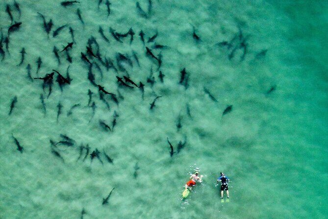 All Day Snorkel Package with Wetsuit Rental - Introduction