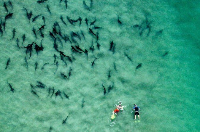 All Day Snorkel Package with Wetsuit Rental - Practical Details and Tips