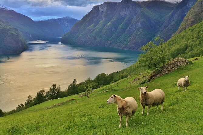 ALL ELECTRIC: Emission free tour to the World Heritage Fjords, 13 hours - The Itinerary in Detail