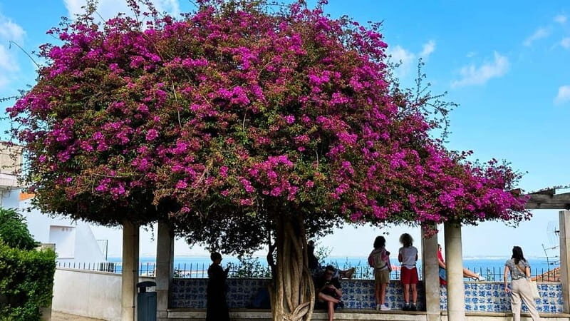 All Historical Lisbon Tuk Tuk Tour - FAQ