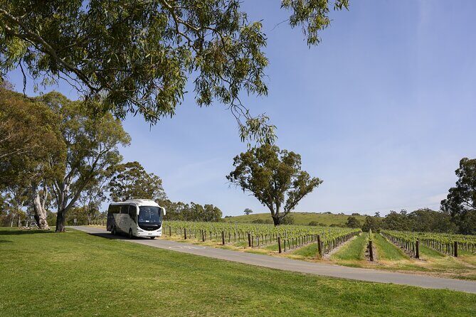 All Inclusive Barossa Valley Food and Wine Tour - Key Points