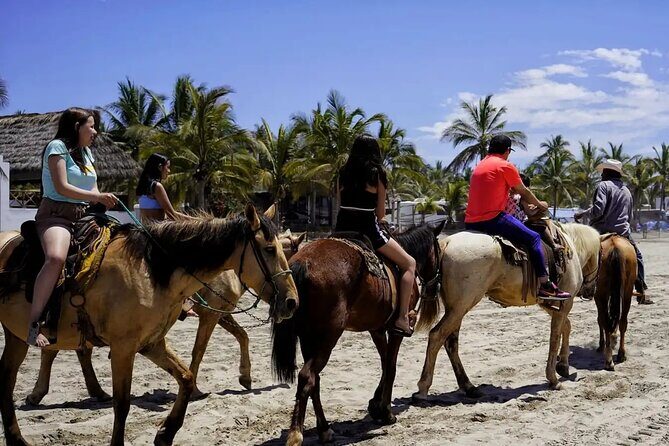 All Inclusive Beach Club, Water Sports, Horse Ride, Food & Drinks - A Closer Look at the Experience
