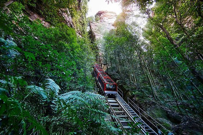 All Inclusive Blue Mountain,Scenic World,Lunch,Koalas,ferry - Transportation, Group Size, and Value
