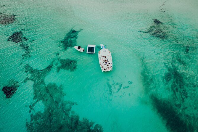 All Inclusive Cozumel: Coast & Relax 4hrs in 51" Leopard - Final Thoughts: Is It Worth It?