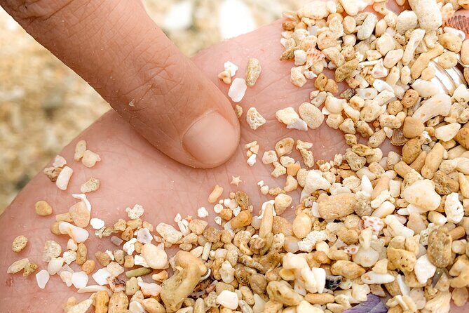 All Inclusive Day Tour to Frankland Islands Great Barrier Reef - Who Should Consider This Tour?