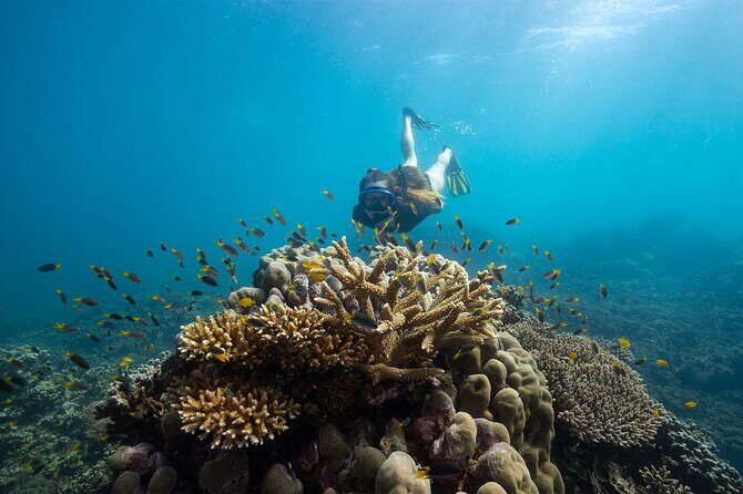 All Inclusive Day Tour to Frankland Islands Great Barrier Reef - Final Thoughts