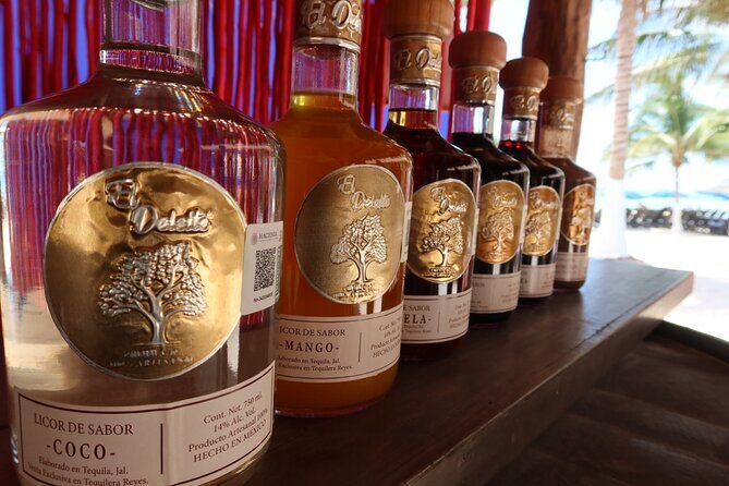 All-inclusive entrance to Palm Beach in Cozumel - Key Points