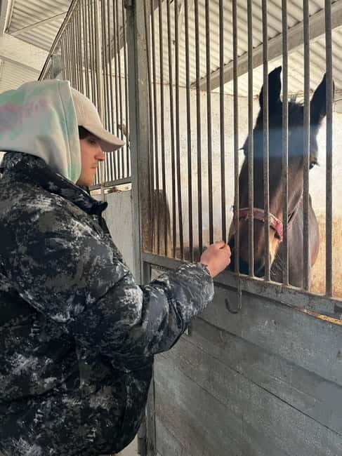 All inclusive Gagauzia: Wine-tasting, Cooking & Lunch! - Key Points