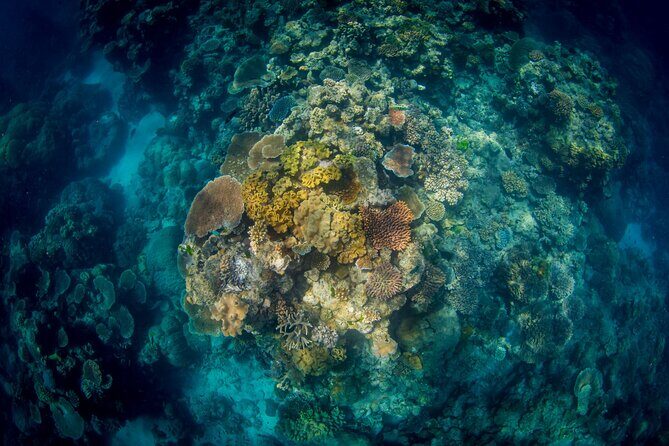 All Inclusive Great Barrier Reef Cruise w optional Scuba Diving - Final Thoughts