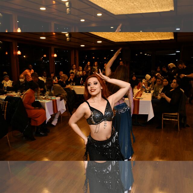 All Inclusive; Istanbul Bosphorus Dinner Cruise w/live shows - Who Should Consider This?