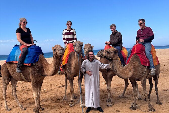 All-Inclusive Luxury Day Trip from Tarifa to Tangier - A Look at the Itinerary: What to Expect