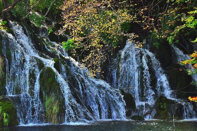 All inclusive luxury daytrip Plitvice Lakes from Split or Trogir - The Experience and Review Insights