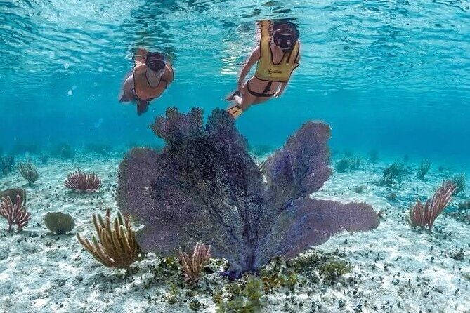 All Inclusive Mayan Ruins EN Buggy & Snorkeling Tour - Final Thoughts